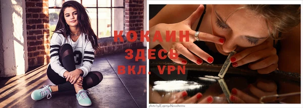прущие крисы Белокуриха