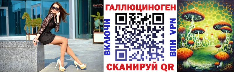 Галлюциногенные грибы Psilocybine cubensis  Нововоронеж 