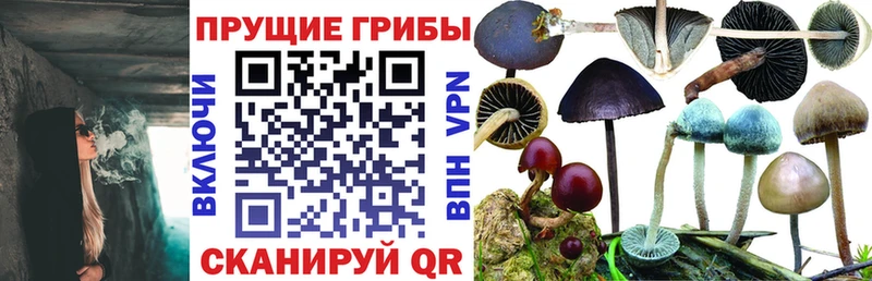 Галлюциногенные грибы GOLDEN TEACHER Нововоронеж
